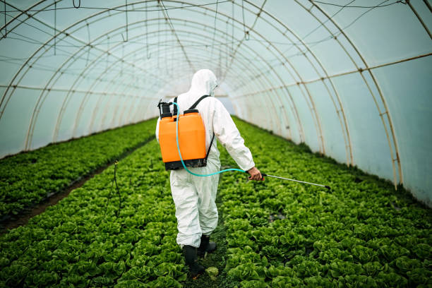 Best Pest Removal Services  in Penngrove, CA