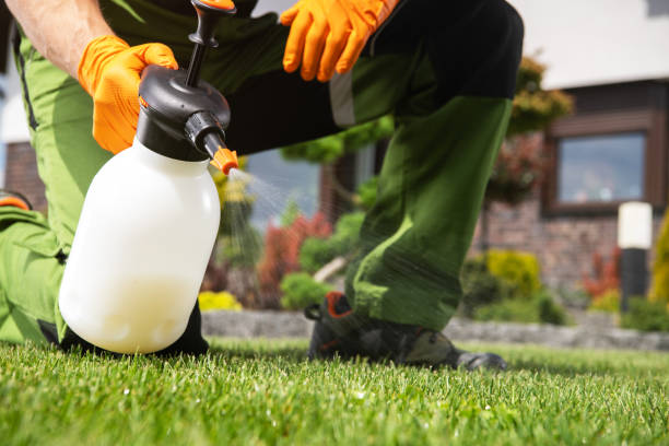 Best Termite Control Services  in Penngrove, CA