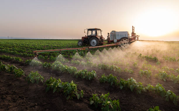 Wildlife Control Services in Penngrove, CA