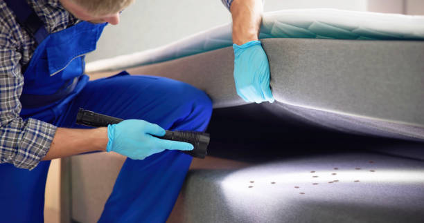 Pest Prevention Services in Penngrove, CA