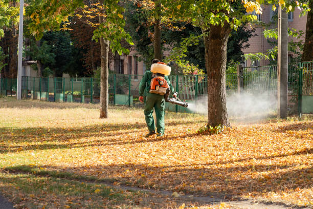 Best Pest Removal Services  in Penngrove, CA