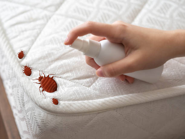 Best Best Pest Control Companies  in Penngrove, CA