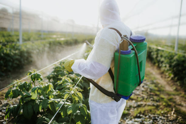 Best Residential Pest Control  in Penngrove, CA